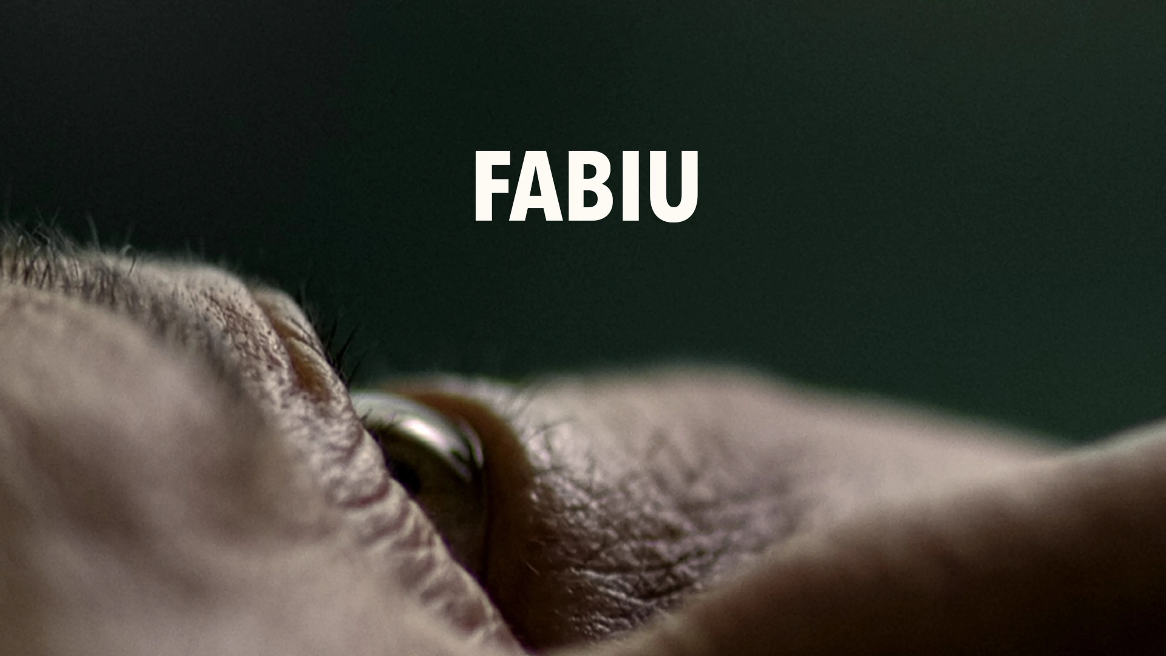 Fabiu poster
